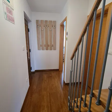 Downtown Bepi Apartment